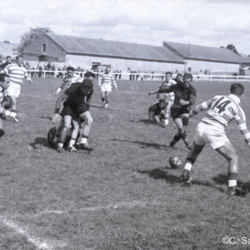 Le SCA reçoit l'équipe de rugby de Toulouse en challenge Yves du Manoir.