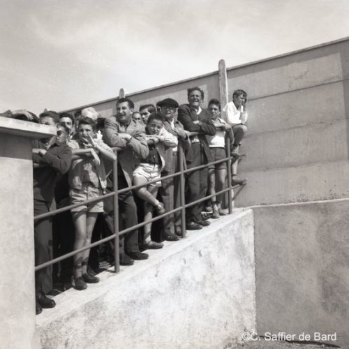 Championnat de natation à Bourgines.