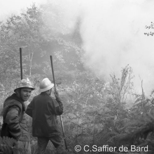 Incendie de forêt à Aubeterre